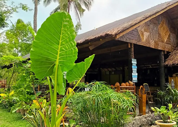 Archery-asia Nipa Huts Campingplatz Moalboal